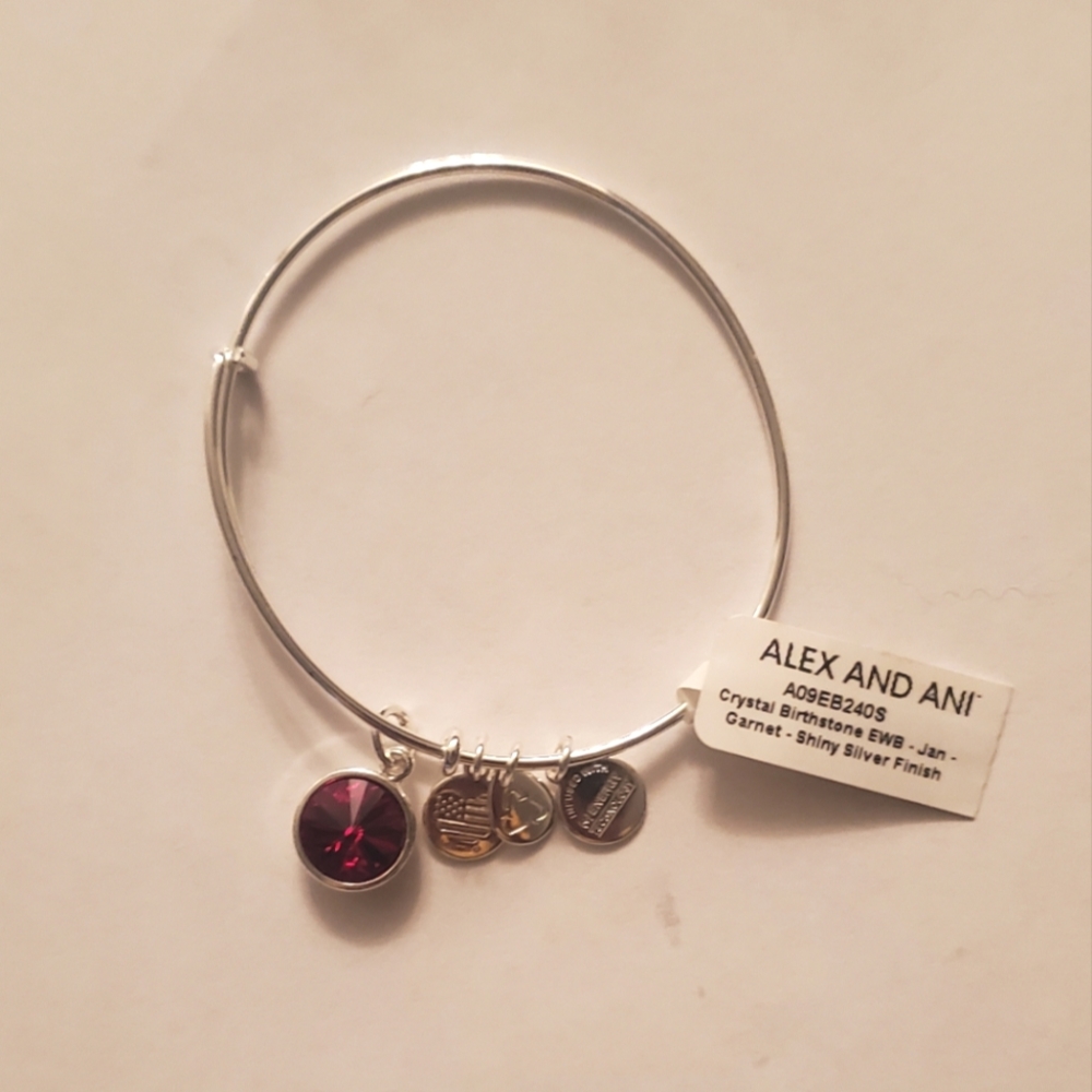 Alex and Ani January Birthstone Charm Bangle, Garnet